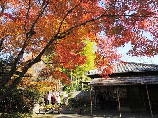 日本庭園