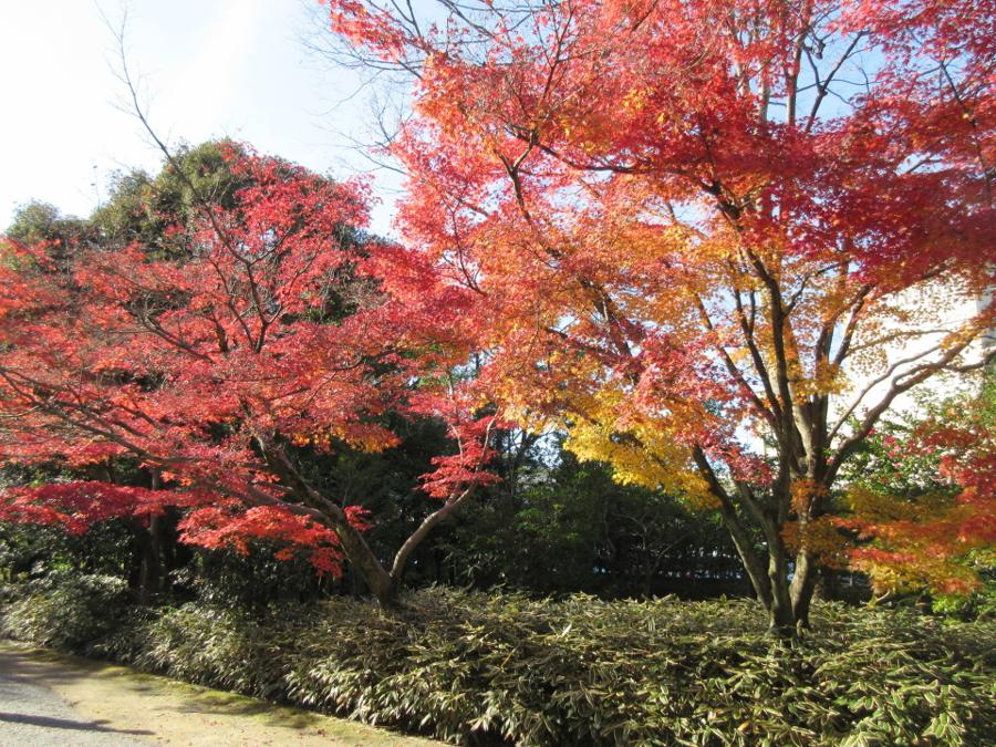 日本庭園