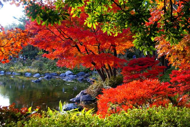 日本庭園