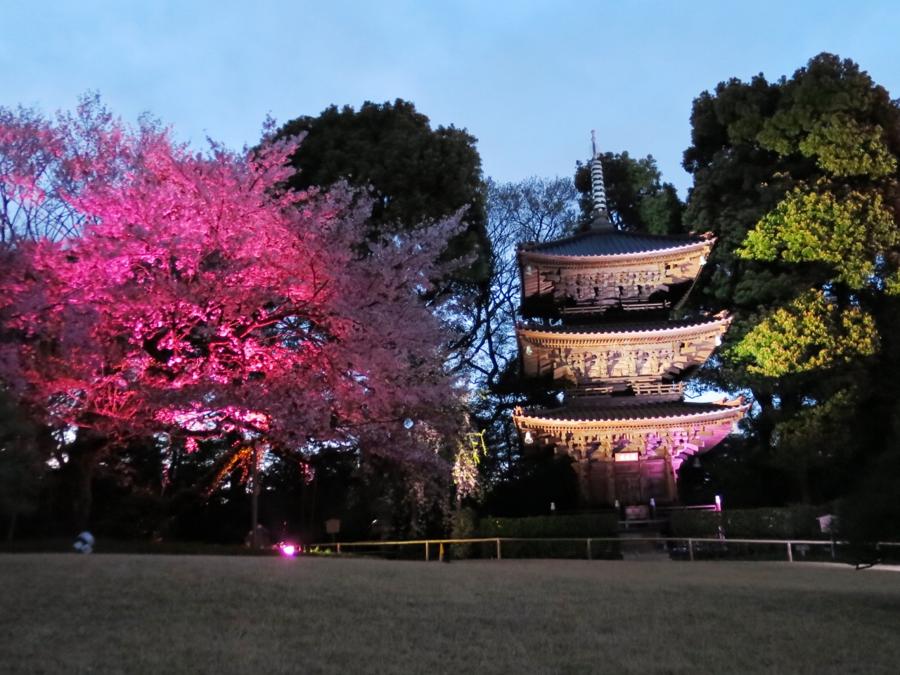日本庭園
