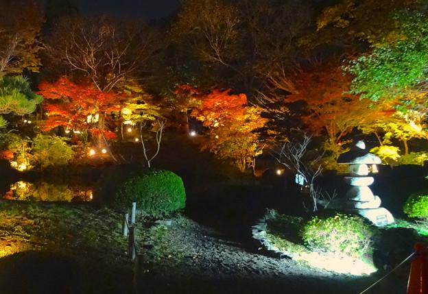 日本庭園