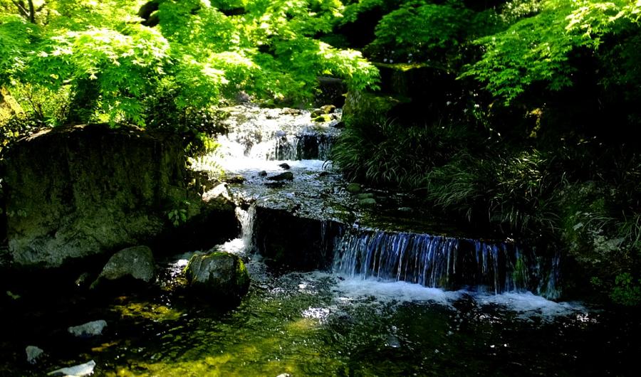 日本庭園