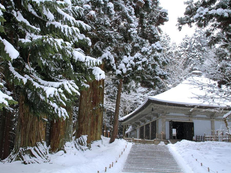 日本庭園