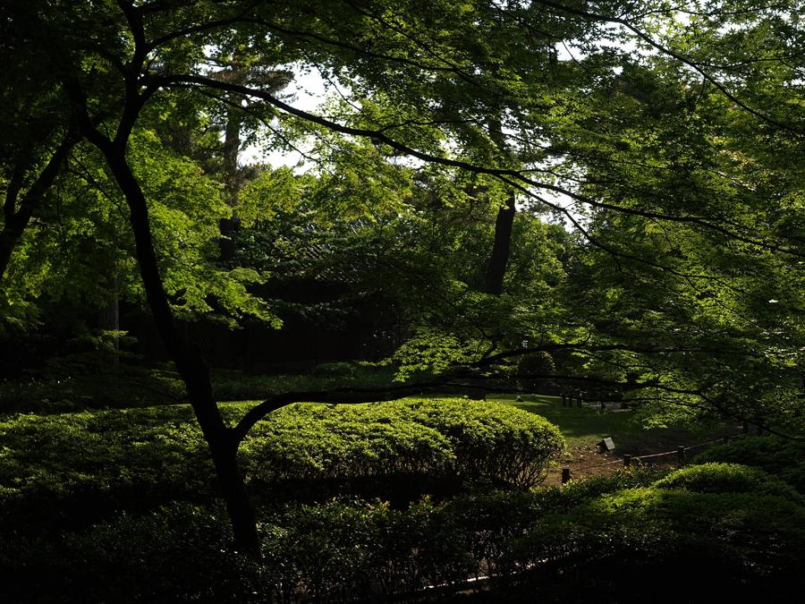 日本庭園