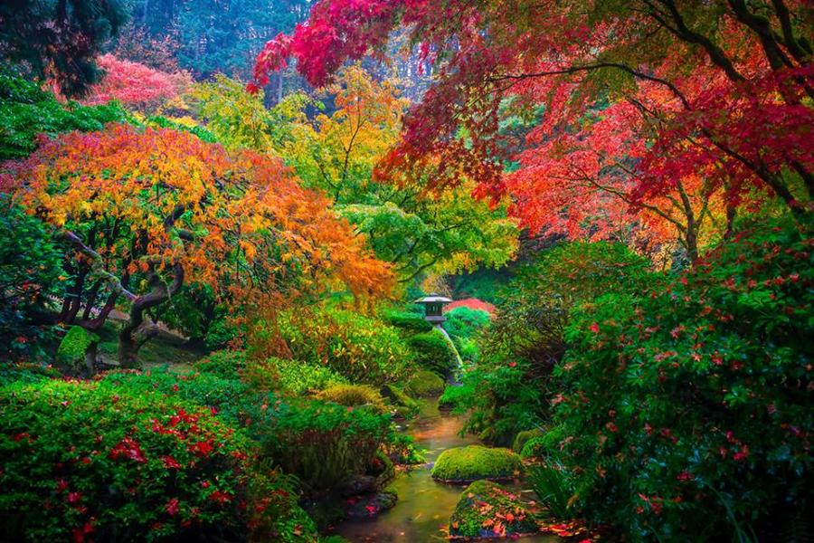日本庭園