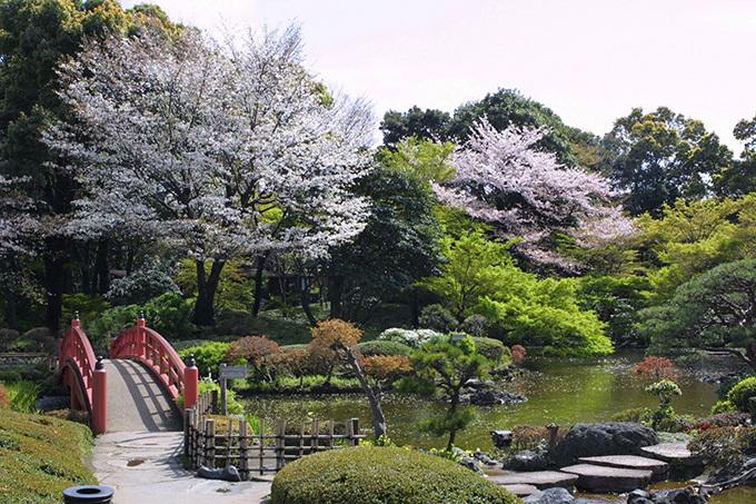 日本庭園