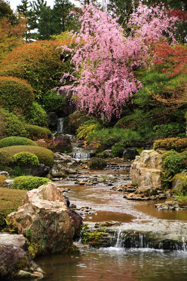 日本庭園