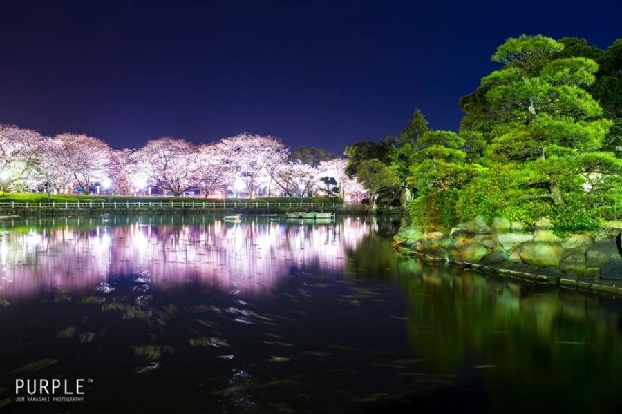 日本庭園