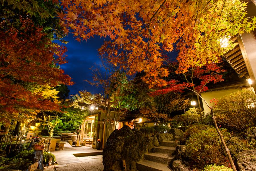 日本庭園