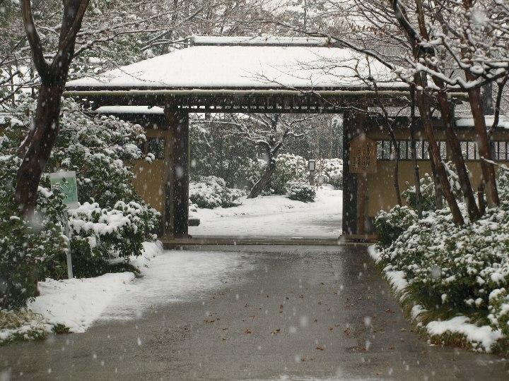 日本庭園
