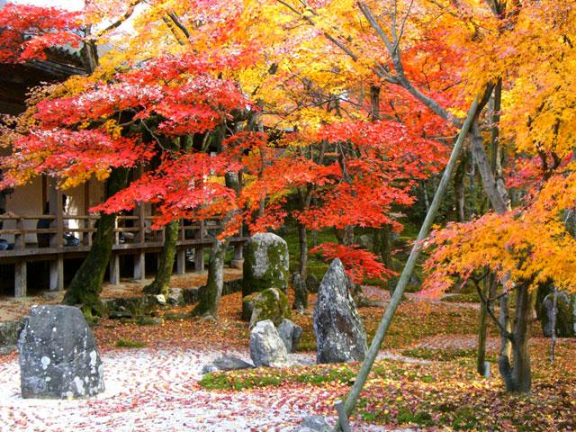 日本庭園