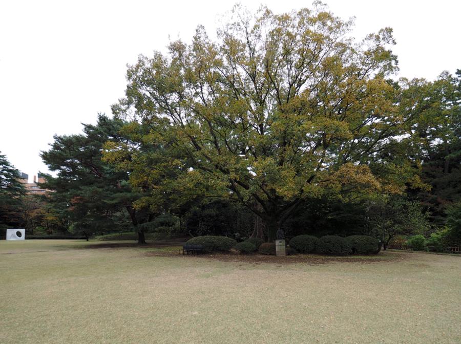 日本庭園