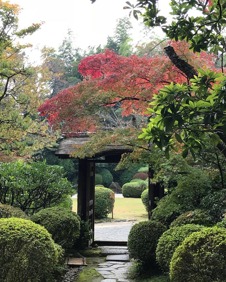 日本庭園