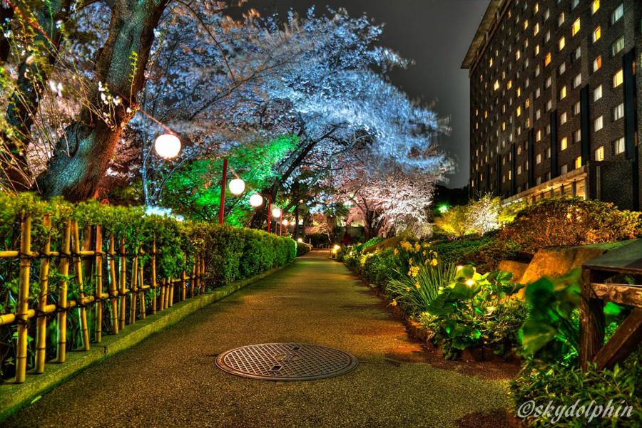 日本庭園