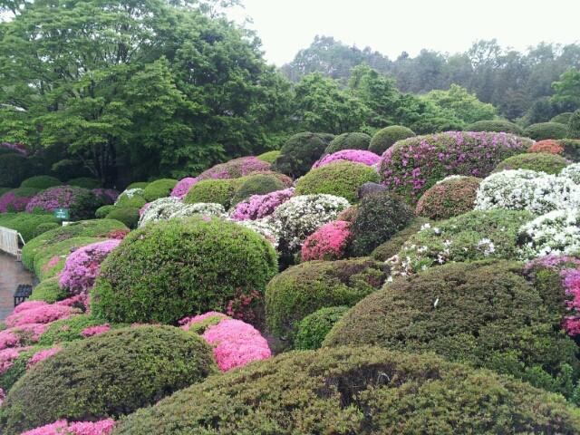 日本庭園