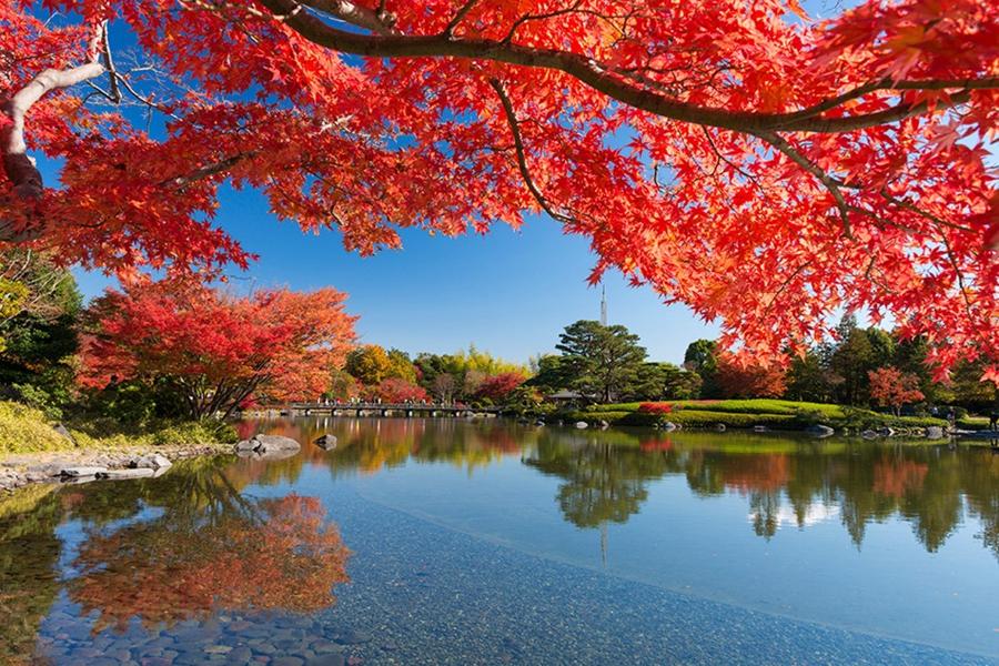 日本庭園