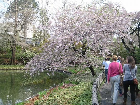 日本庭園