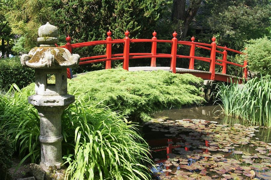 日本庭園
