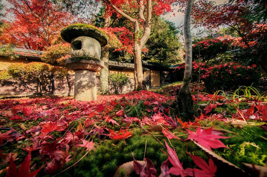日本庭園