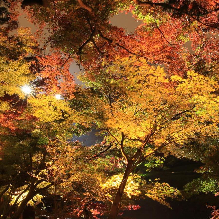 日本庭園