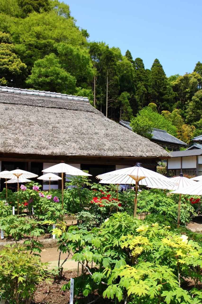 日本庭園