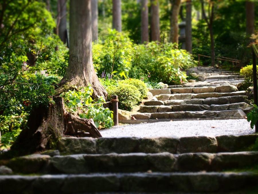 日本庭園