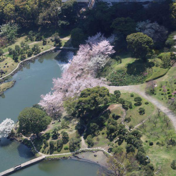 日本庭園
