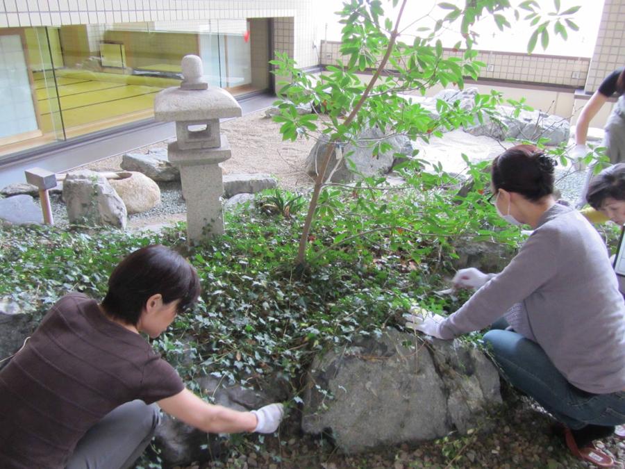 日本庭園