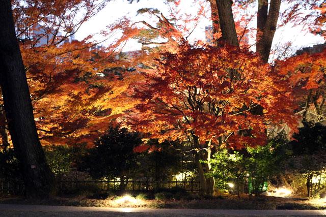 日本庭園