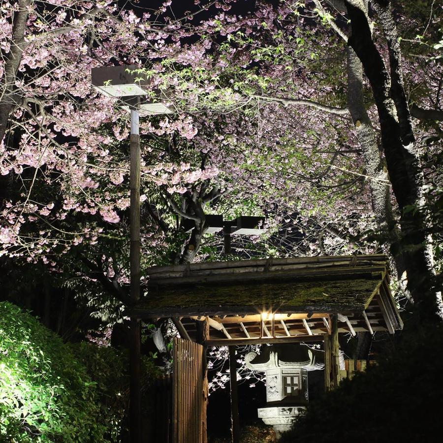 日本庭園