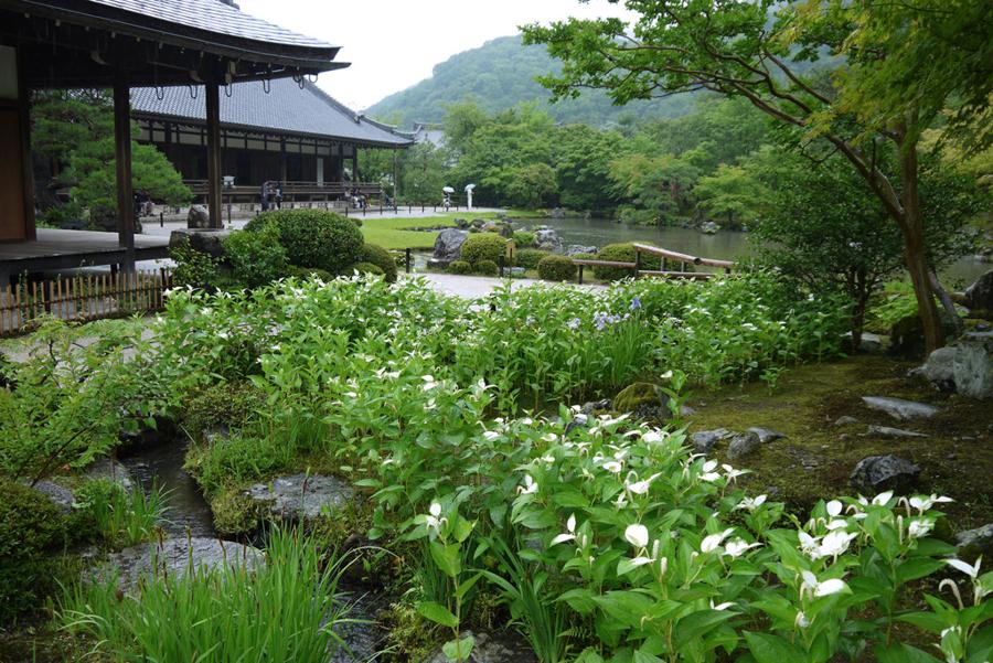 日本庭園