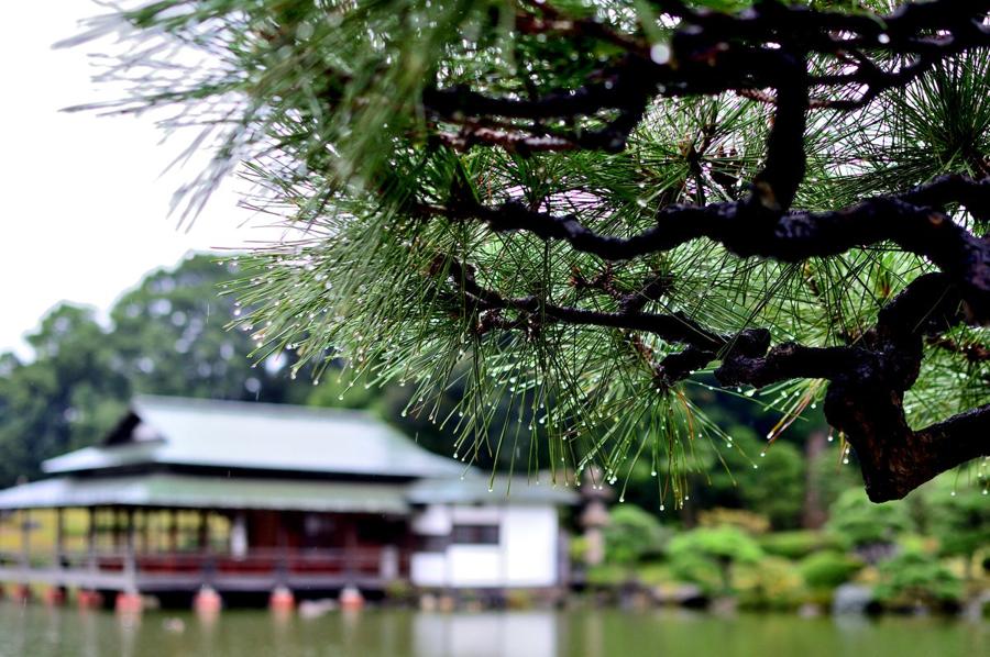 日本庭園