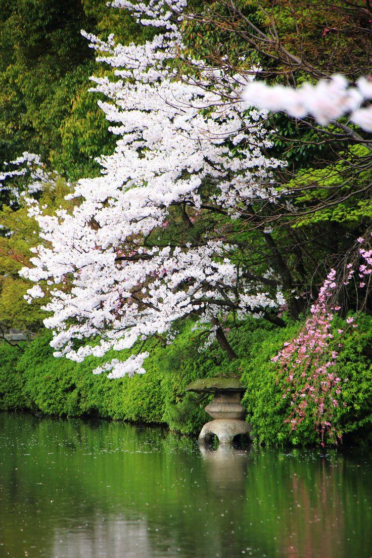 日本庭園