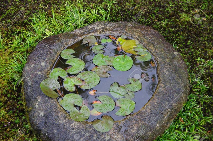 日本庭園