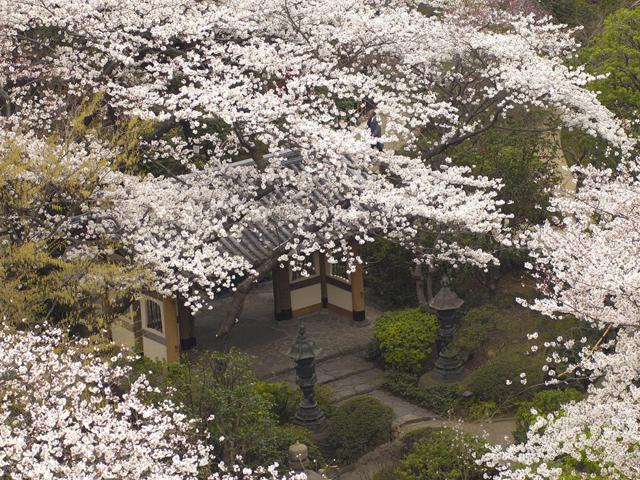 日本庭園