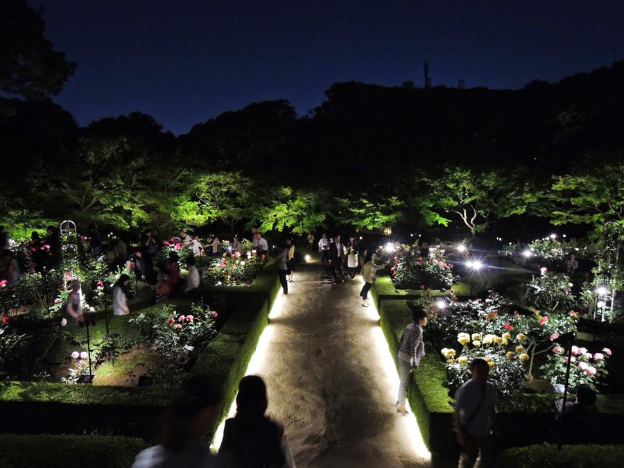 日本庭園
