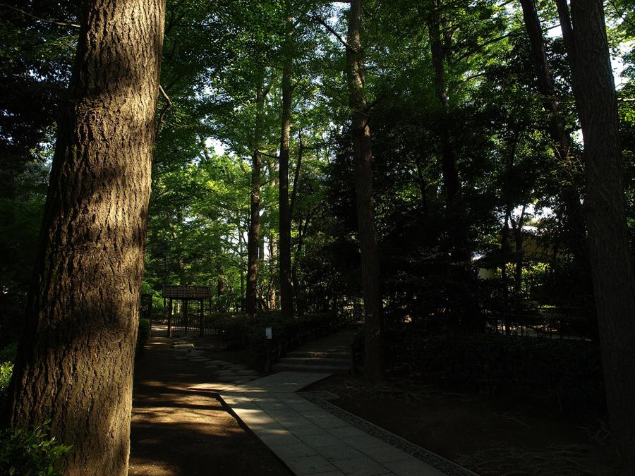 日本庭園