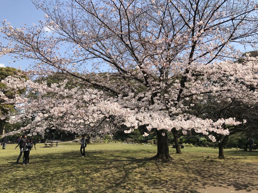 日本庭園