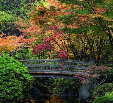 日本庭園