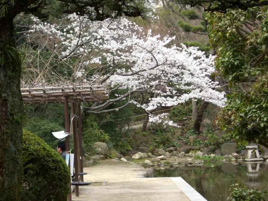 日本庭園