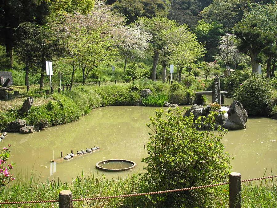 日本庭園