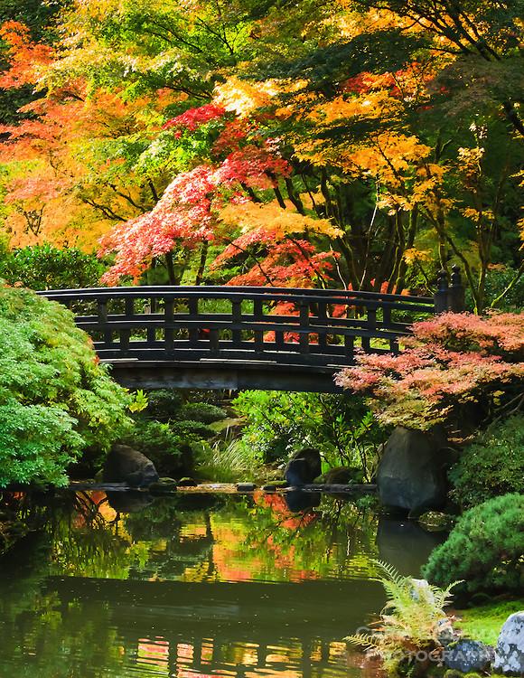 日本庭園