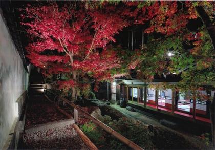 日本庭園
