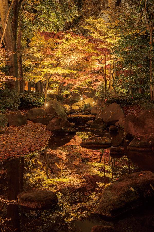 日本庭園