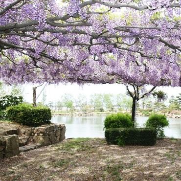 日本庭園