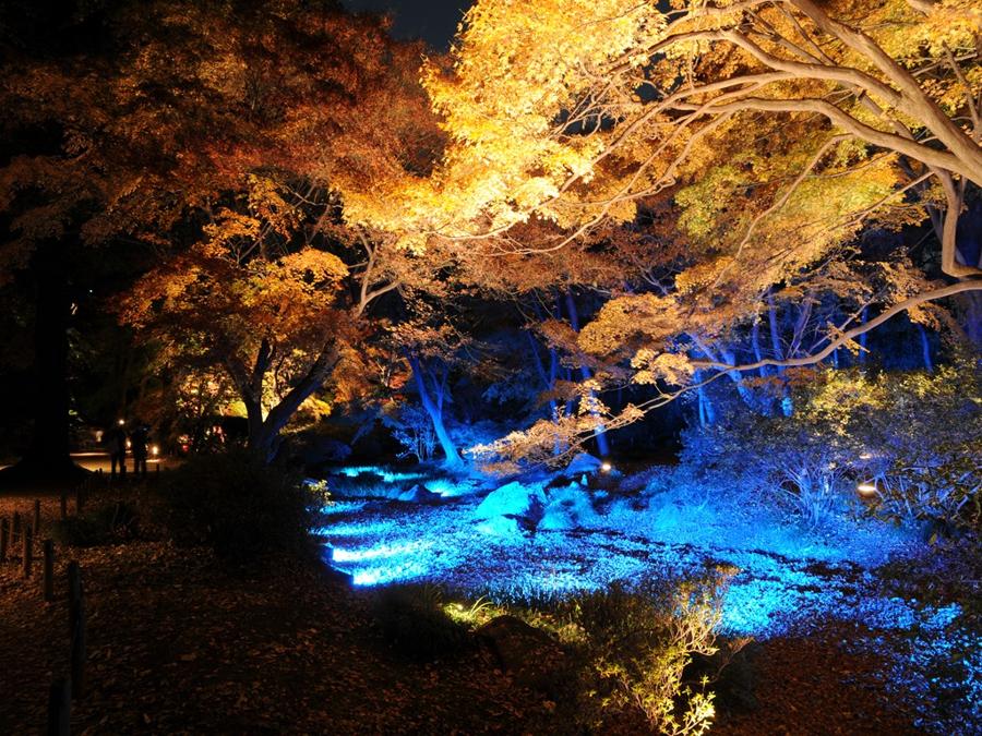 日本庭園