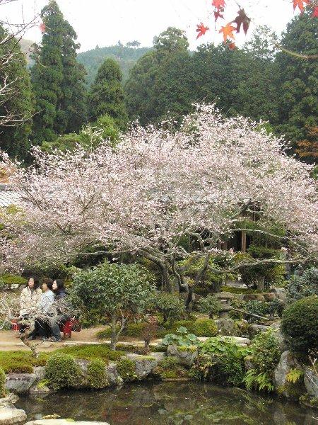 日本庭園