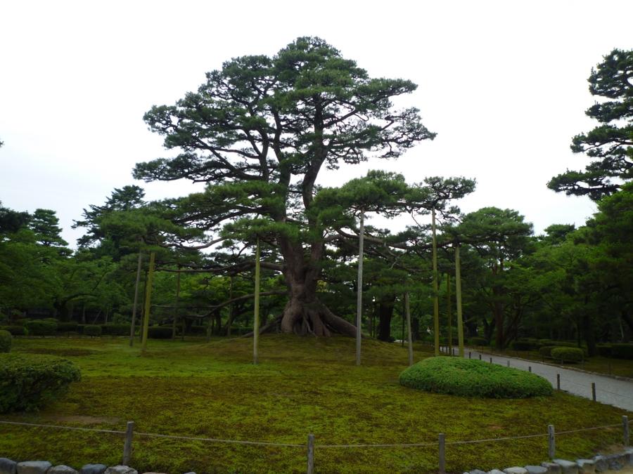 日本庭園