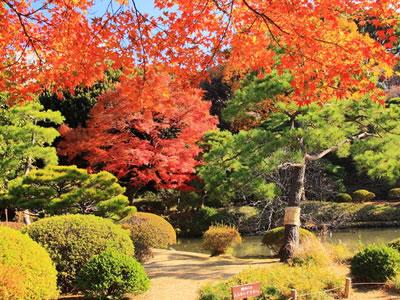 日本庭園