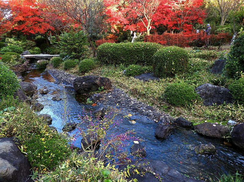 日本庭園